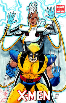 Storm and Wolverine Sketchcover