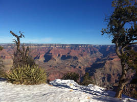 Grand Canyon 05