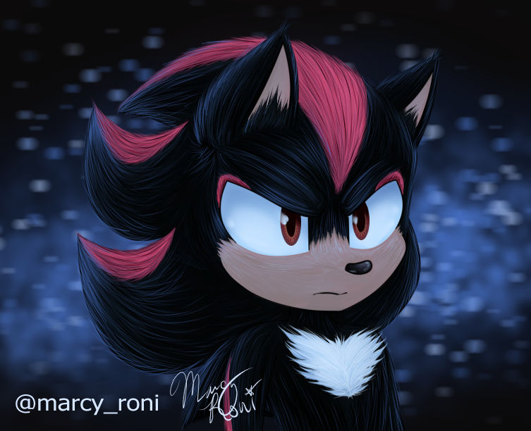 Shadow's End of Shadow's Year by Y3llowHatMous3 on DeviantArt