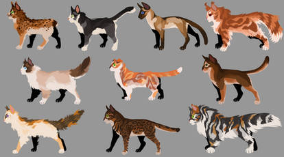 6. (closed) ADOPT | Stylised cats