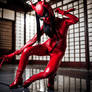 THE SCARLET NINJA (SHIN-ZHI) ... STRIKES!!!