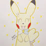 (C) Hoshi the Pikachu