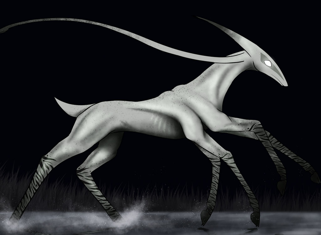 African Nightwalker Southern Nightwalker. by CyiCreations on DeviantArt