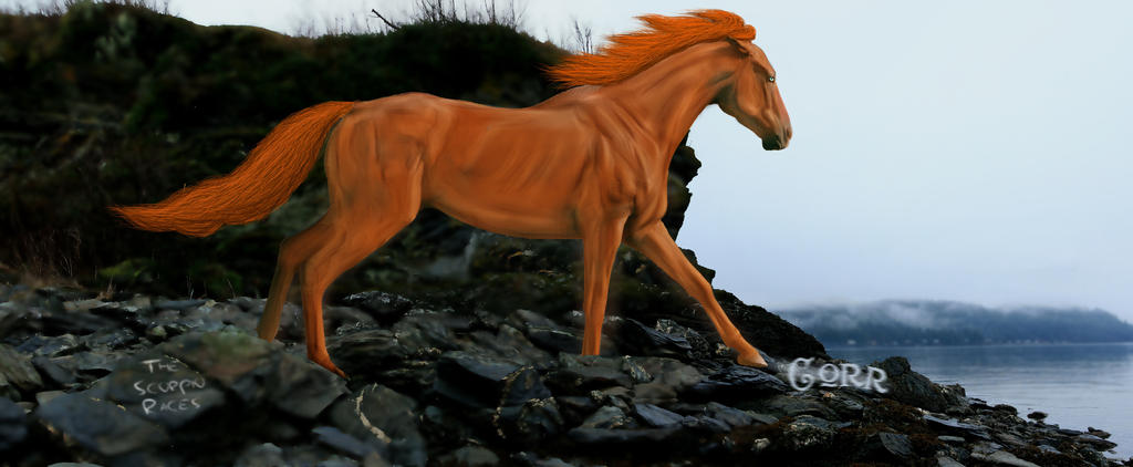 Scorpio Races Corr The Scorpio Races - Corr - by Miggers-DSE on DeviantArt