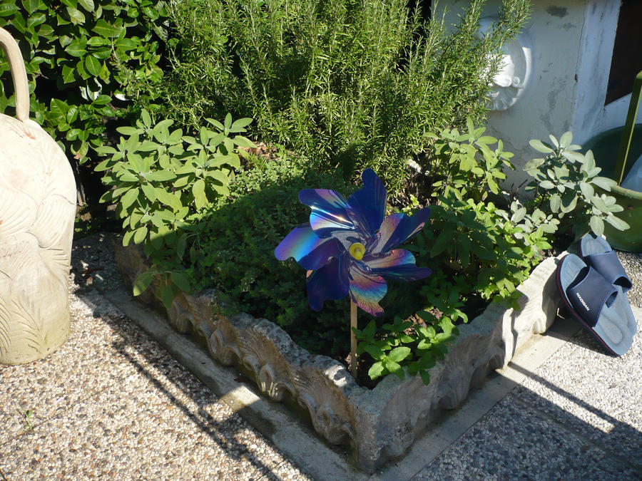 Magic Pinwheel Magic Pinwheel by MissPlatone on DeviantArt