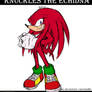  Knuckles the Echidna Color