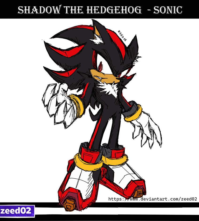 shadow the hedgehog Color by zeed02 on DeviantArt