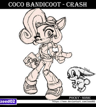 Coco Bandicoot + pocky en escala con sonic 2