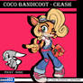 Coco Bandicoot Crash And Pocky Sonic Color