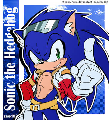 Sonic the Hedgehog costume (Color)