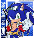 Sonic the Hedgehog costume (Color)