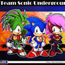 Team Sonic Underground ( Sonic , Manic , Sonia )