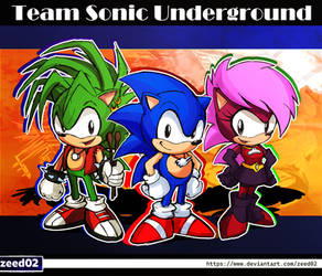 Team Sonic Underground ( Sonic , Manic , Sonia )
