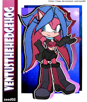Hedgehog girl - Sonic the Hedgehog ( Commission )