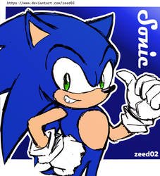 Sonic the Hedgehog Color - Sonic X (TV series)