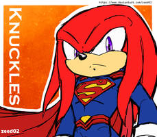 Knuckles the Echidna Superman - Sonic x DC Comics