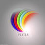 pixter's logo