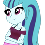 Sonata restyle