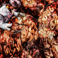 Brain Cover