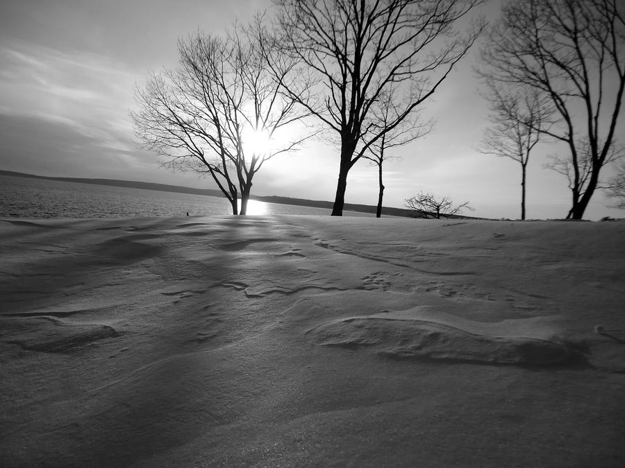 Patterns in the Snow