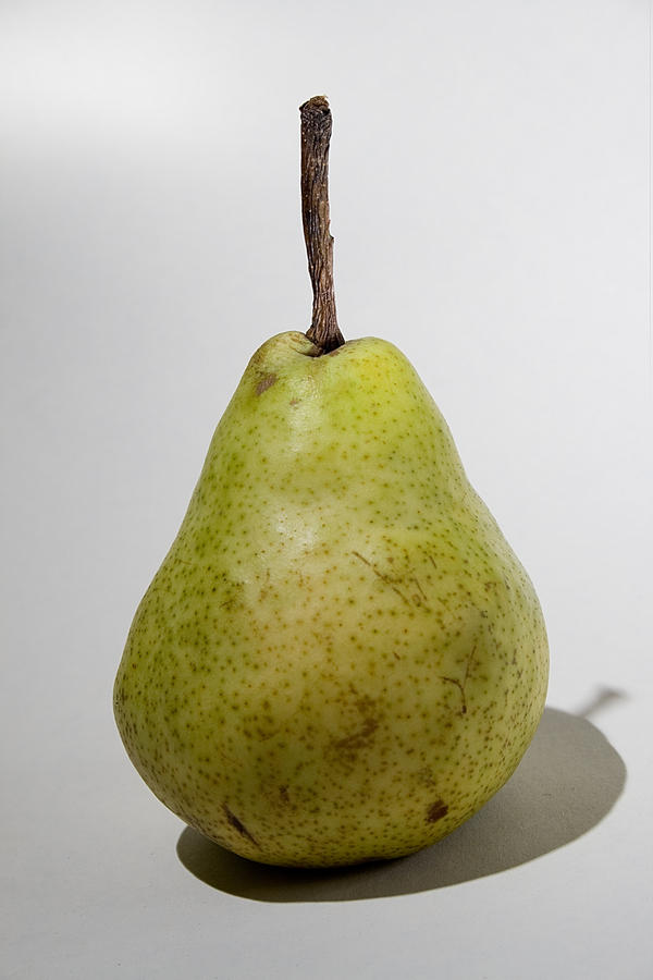 stock pear