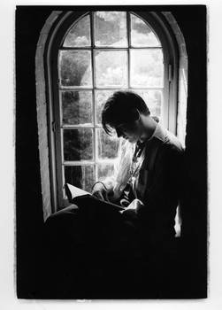 A Scholar Reading at a Window