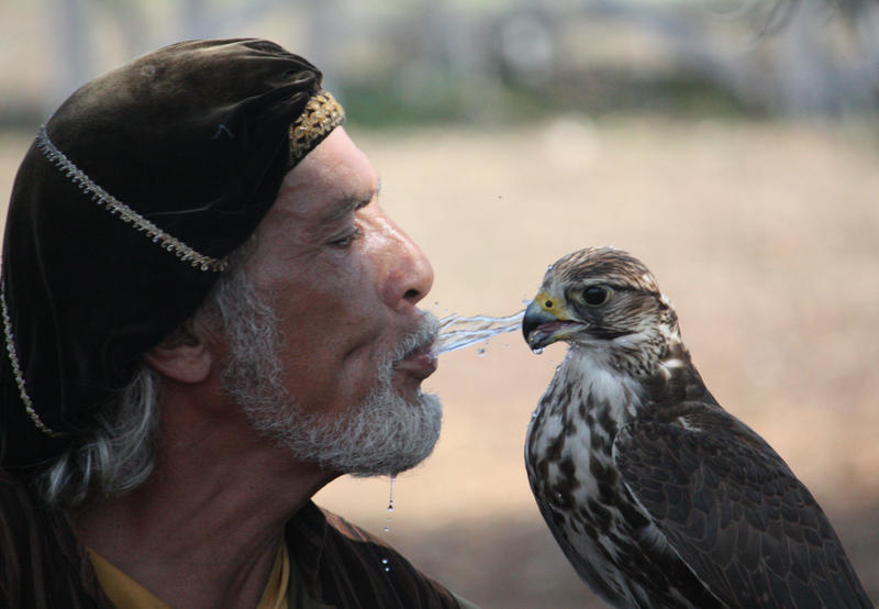 Watering the Bird