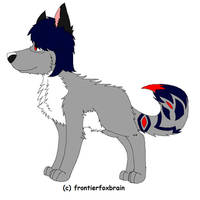 Frontier wolf's tail