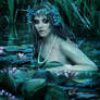 Swamp Siren