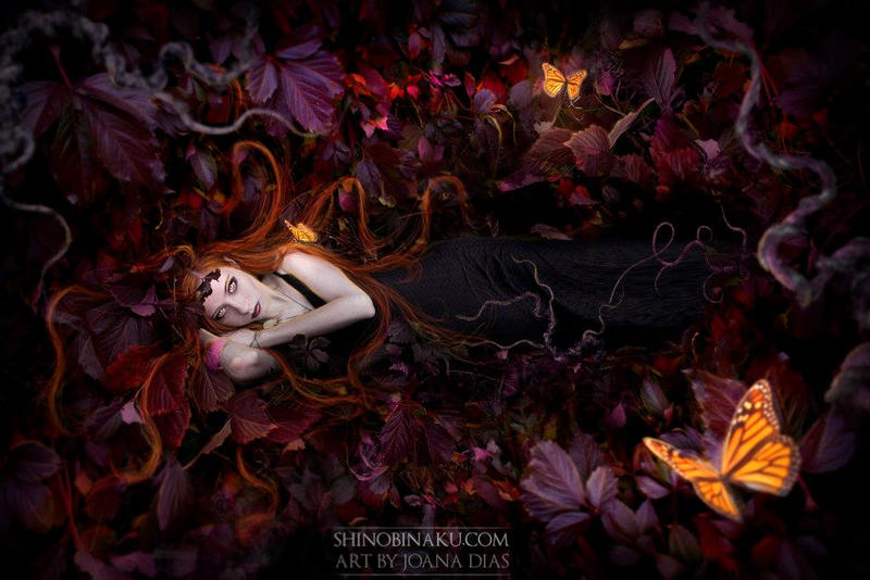 Grave of the Butterflies by Shinobinaku Grave of the Butterflies by Shinobinaku