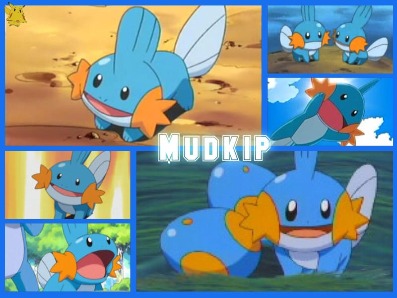 Mudkip Case Mudkip Collage by Knigtmare55moon on DeviantArt