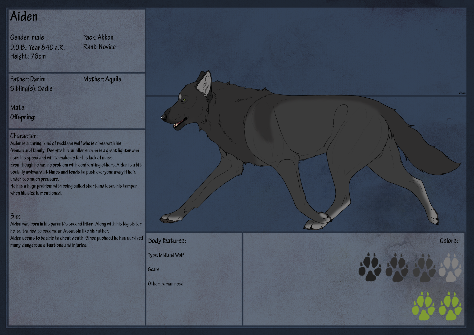 Aiden Refsheet