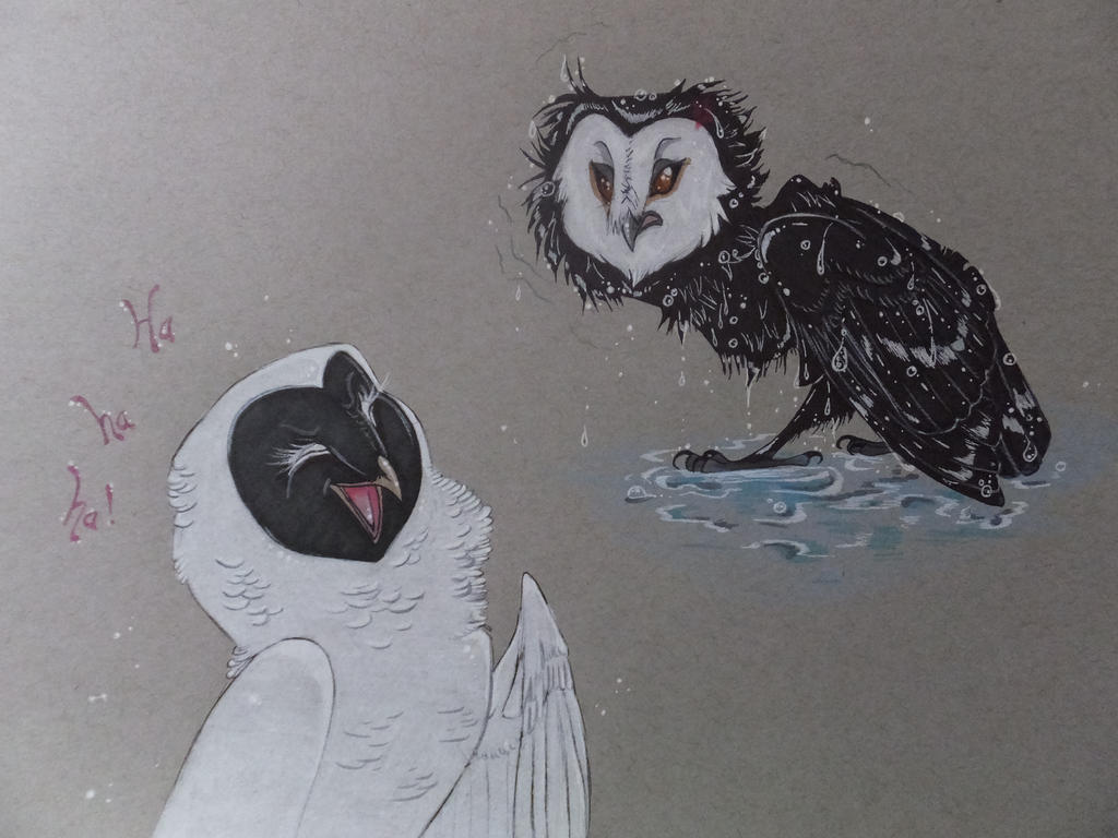 It S Raining Wan Shi Tong And Nyra By Foxdragonlover On Deviantart It S Raining Wan Shi Tong And Nyra By Foxdragonlover On Deviantart