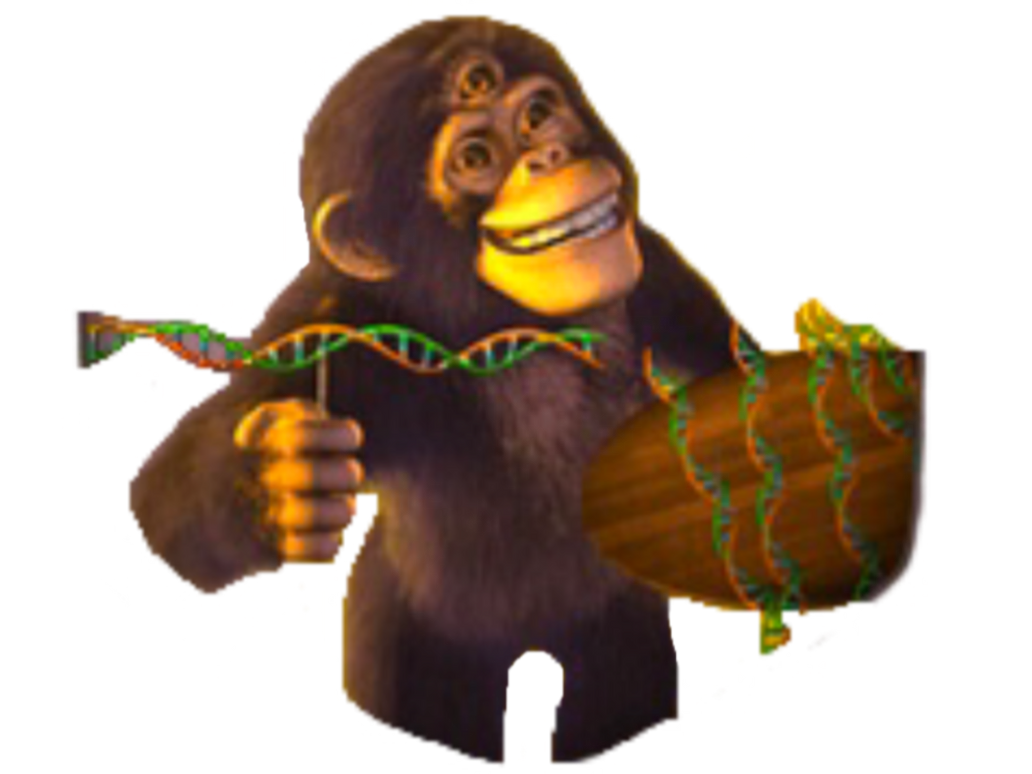 Paul the Monkey (DNA Productions) PNG by AllanPX16 on DeviantArt