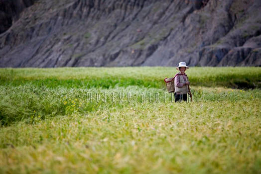 Woman working the land