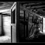 Abandoned Horse Stable