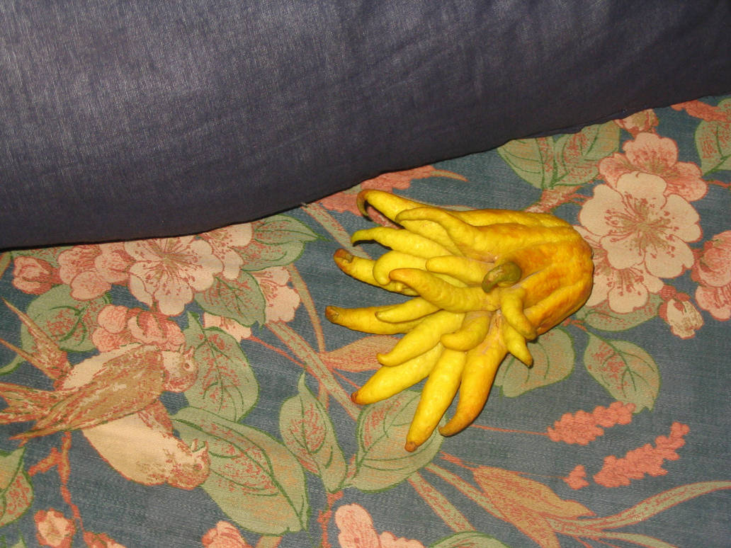 Sentient Lemon Tentacle Lemon by MongooseDog- on DeviantArt