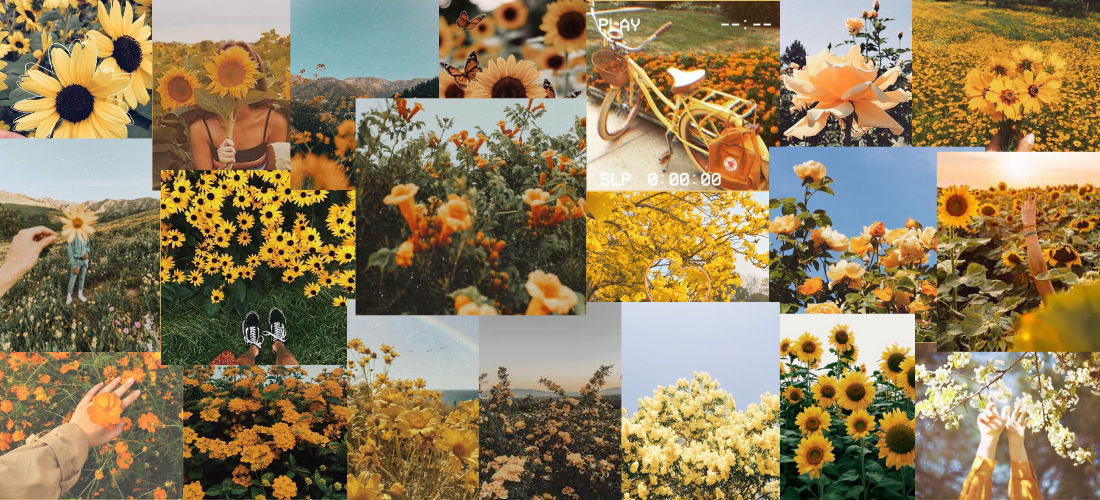 Yellow Spring Aesthetic Collage by Rosiee33333 on DeviantArt