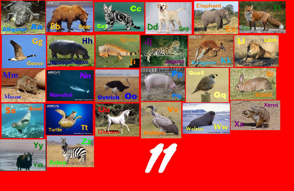 Animal Alphabet 11 by davinay on DeviantArt
