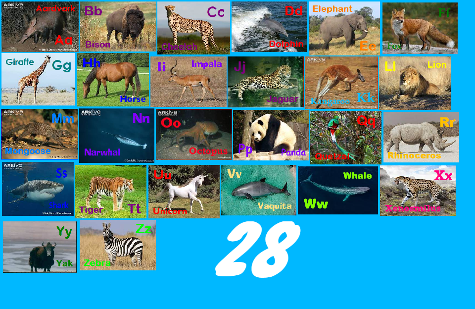Animal Alphabet 28 by davinay on DeviantArt Animal Alphabet 28 by davinay on DeviantArt