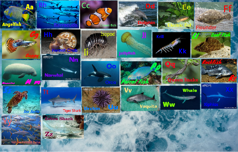 Ocean Animal Alphabet by davinay on DeviantArt