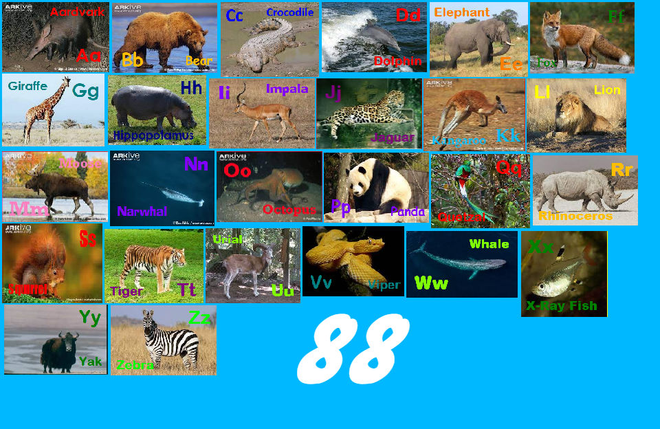 Animal Alphabet 88 by davinay on DeviantArt