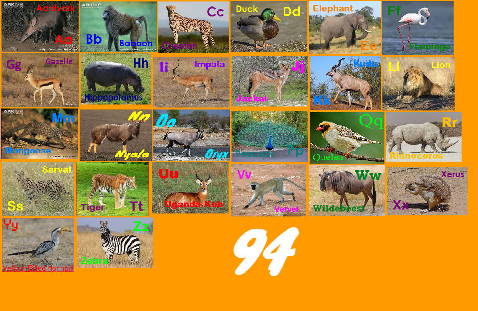 Animal Alphabet 94 by davinay on DeviantArt