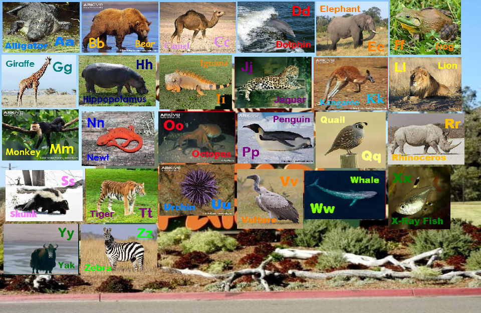 Animal Alphabet Zoo Safari by davinay on DeviantArt