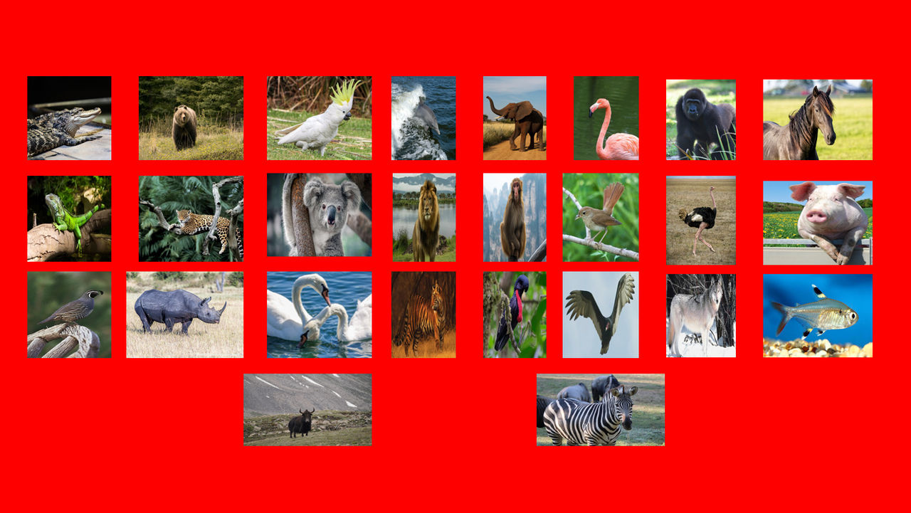 Animal Alphabet Fanart 1 (TommyTiger12 Version) by davinay on DeviantArt