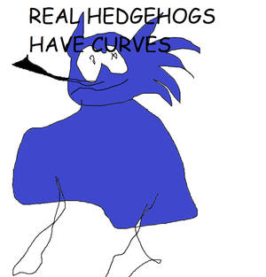 Real Hedgehogs Have Curves