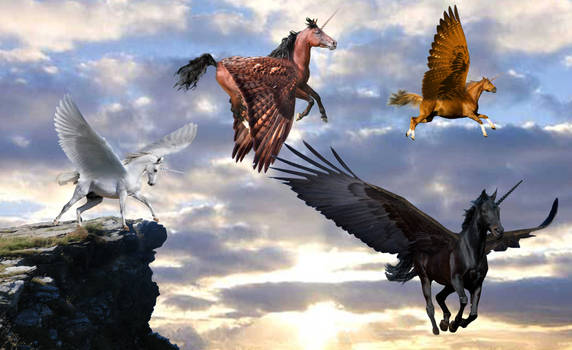 Pegasus Photo Manipulation