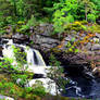 Scotland - Rogie Falls