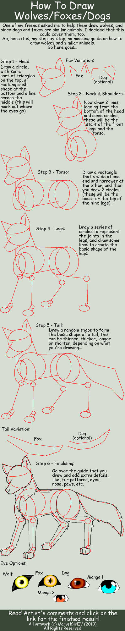 How I Draw Wolves, Foxes, Dogs