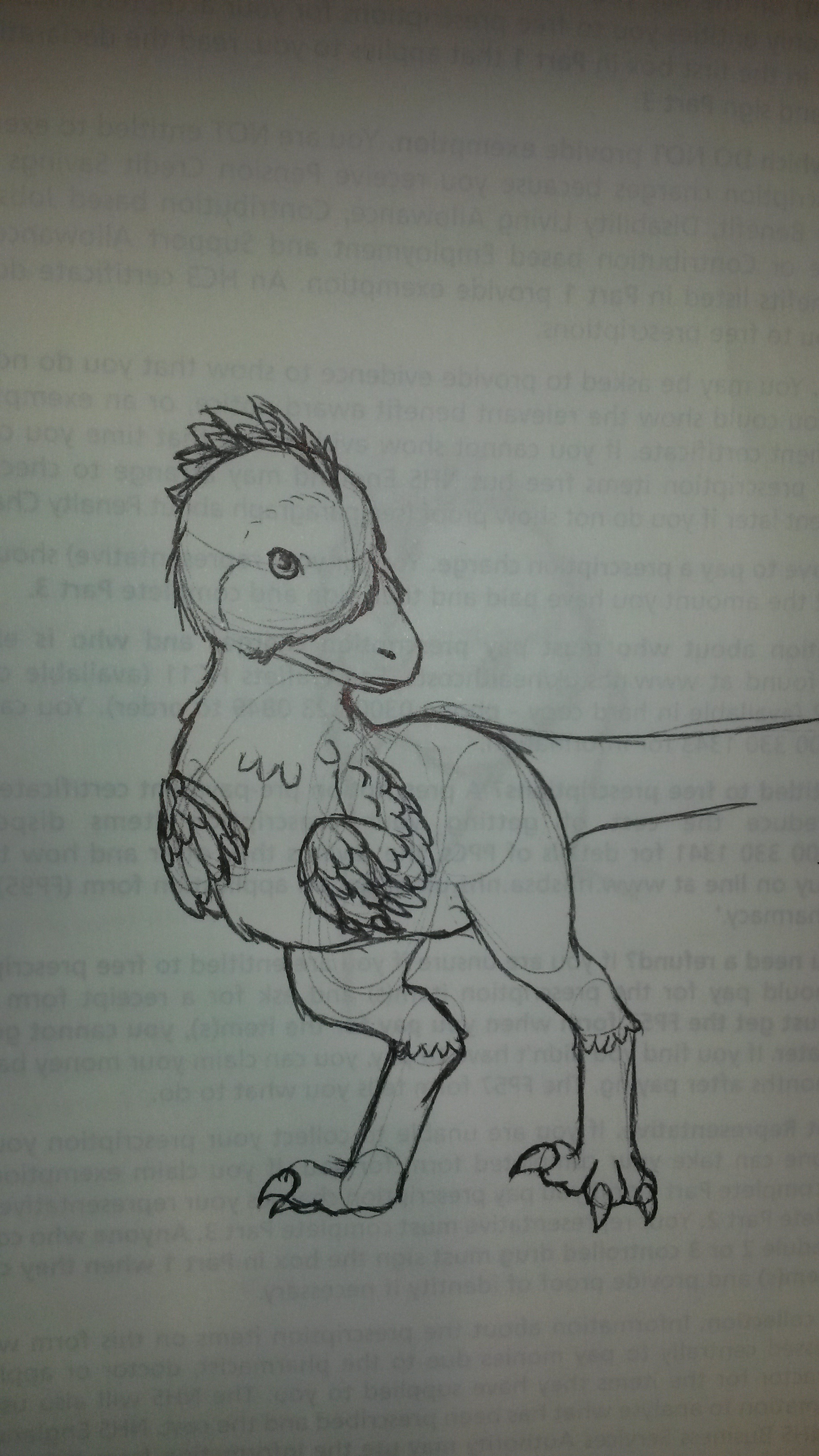 Velociraptor doodle